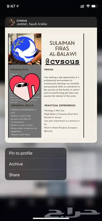 بوربوينت بحوث جامعيه بحوث ماجستير تلخيص كتب سيره ذاتيه خريط 13