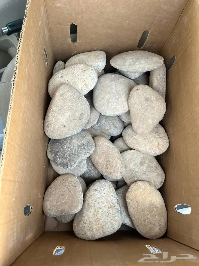 حجر مظبي للحم والدجاج توصيل فوري 0