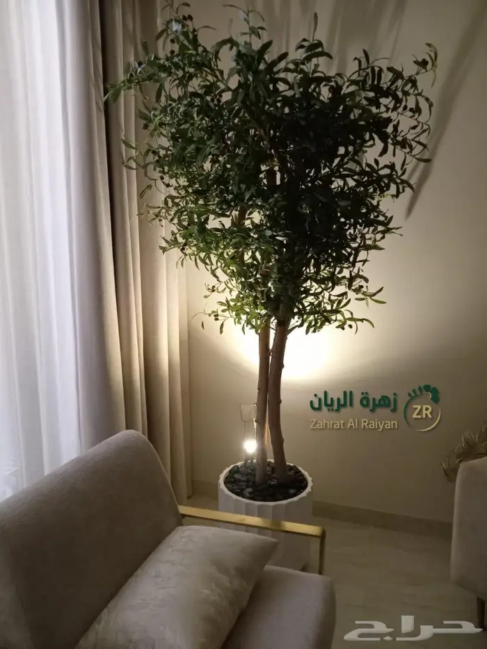 اشجار الزيتون الصناعي والطبيعة المميزة 3