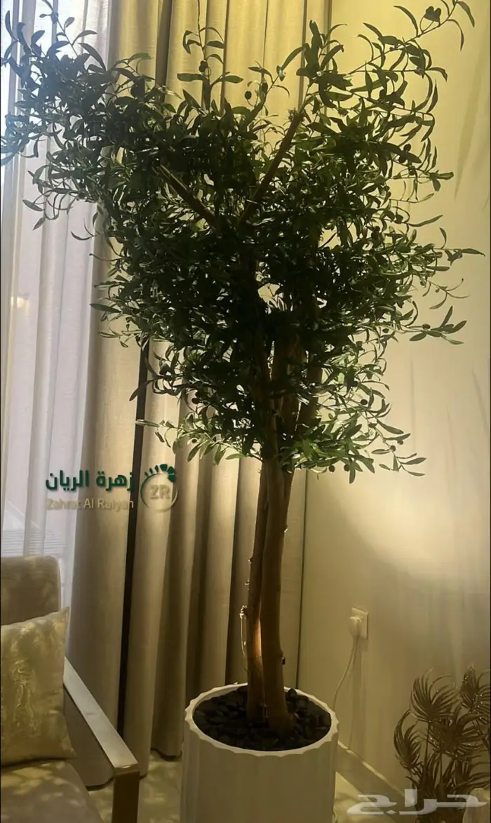 اشجار الزيتون الصناعي والطبيعة المميزة 8