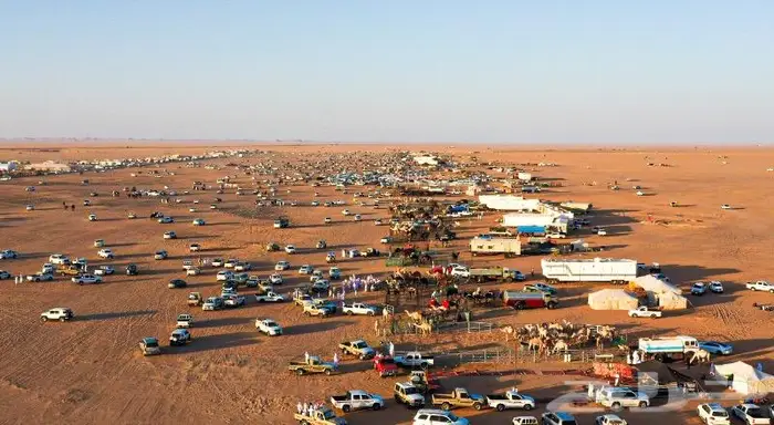 مصور جوي وفوتوغرافي مصرح 5
