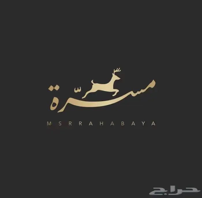تصميم لوقو 3