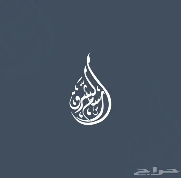 تصميم لوقو 4