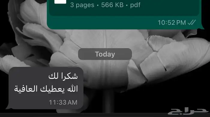 ترجمة تقارير طبية ومقالات وبوربوينت بأي موضوع 5