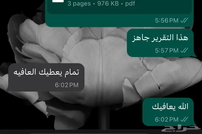 ترجمة تقارير طبية ومقالات وبوربوينت بأي موضوع 6