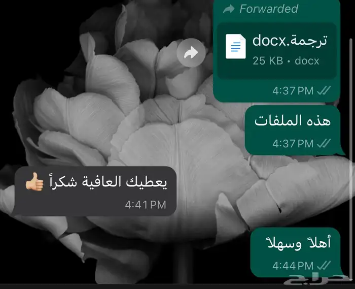 ترجمة تقارير طبية ومقالات وبوربوينت بأي موضوع 10