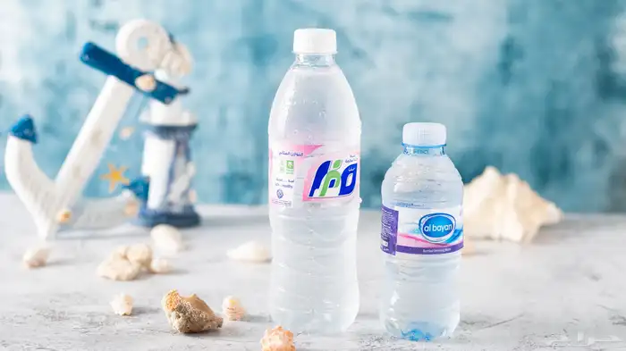 جد الحمدانية ابحر 9