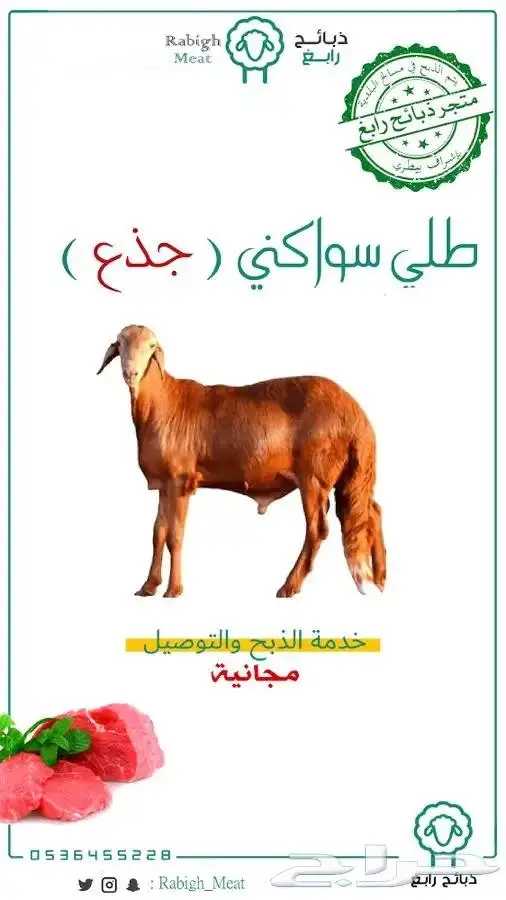 ذبيحتك بالتقسيط تابي و تمارا - رابغ - ثول مستورة 8
