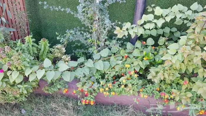 عرض خاص استراحة للإيجار اليومي في الراشدية مقابل مشاهير دبي 10