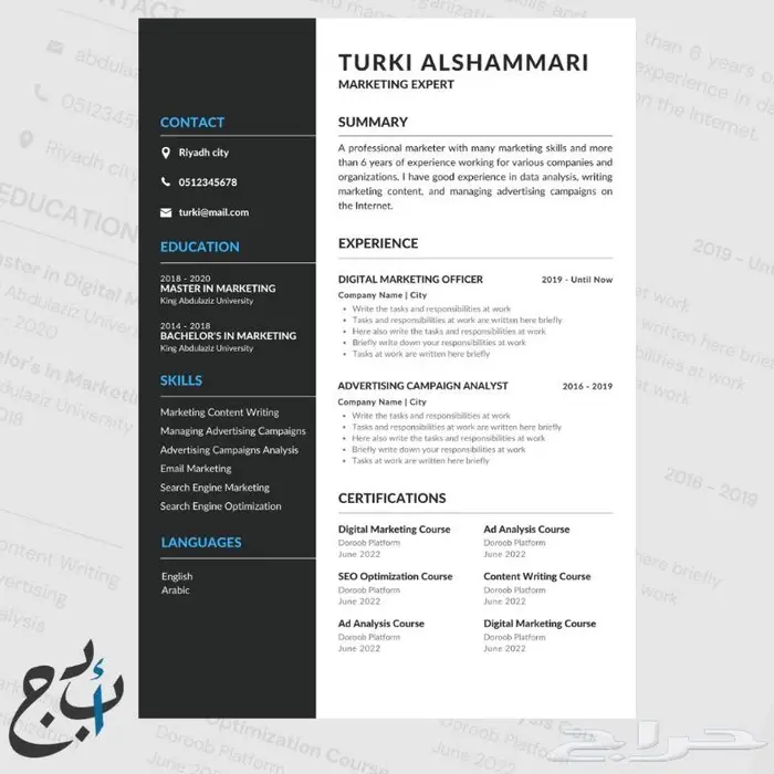 سيرة ذاتية مميزة CV ATS 2