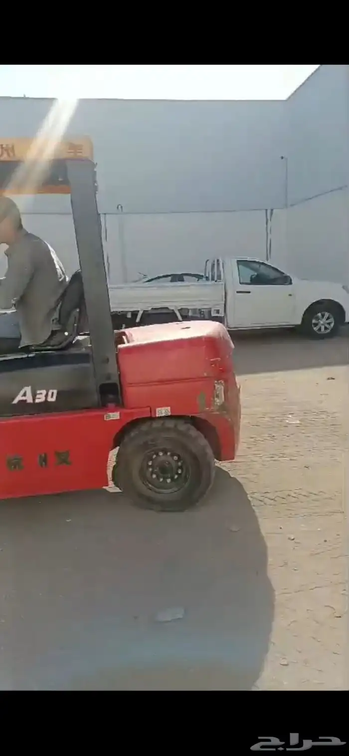 عشب جداري وعشب إرضي جملة الجمله 0