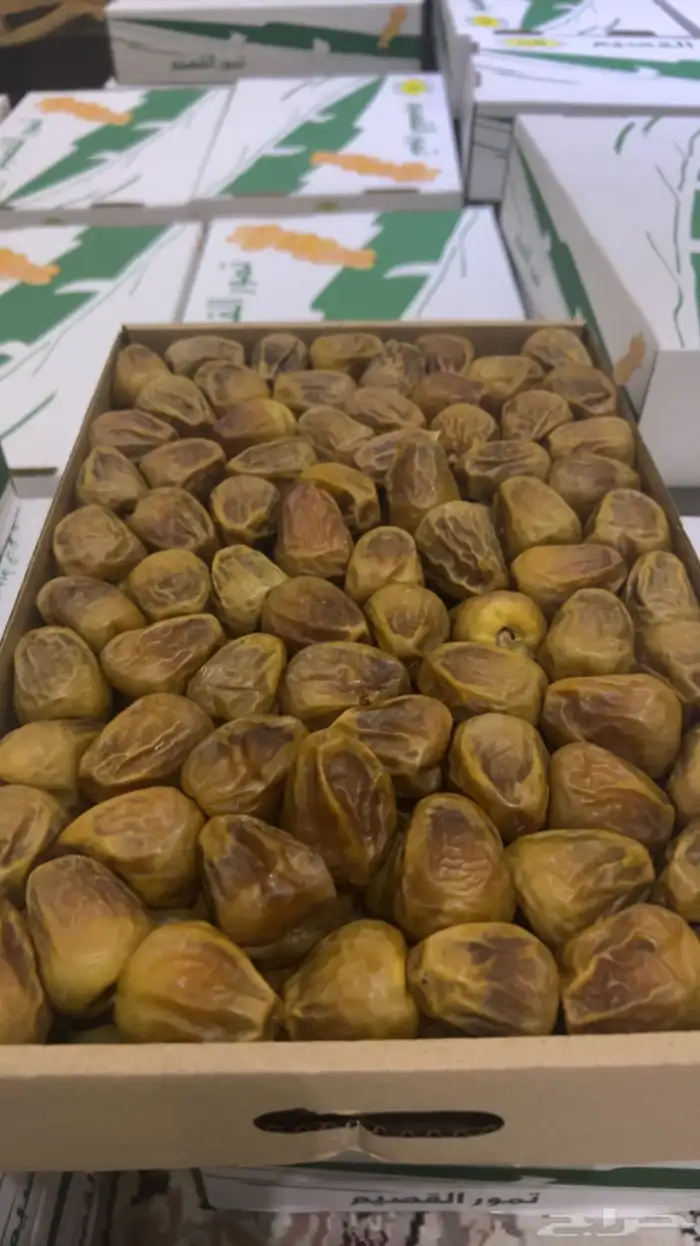 كميات جميع انواع التمور من القصيم 11
