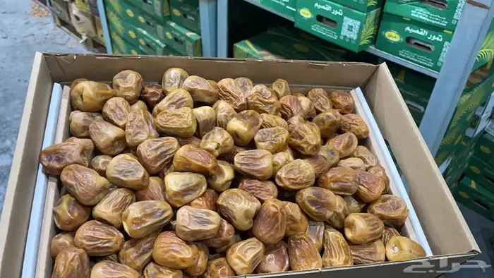 كميات جميع انواع التمور من القصيم 6