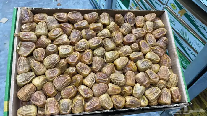 كميات جميع انواع التمور من القصيم 4