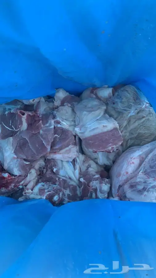 يوجد ذبايح فاخره طيب سواكني تربايه ومقفله لحم وشحم 6