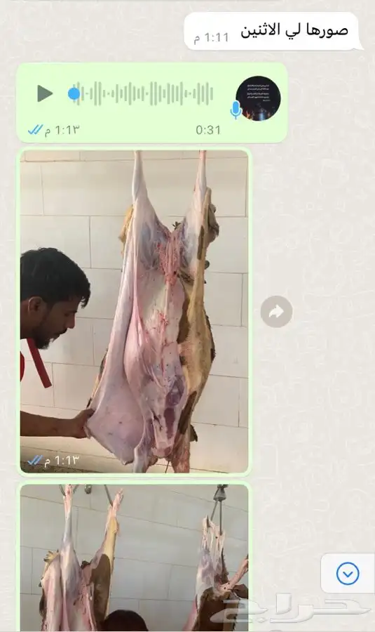 يوجد ذبايح فاخره طيب سواكني تربايه ومقفله لحم وشحم 2