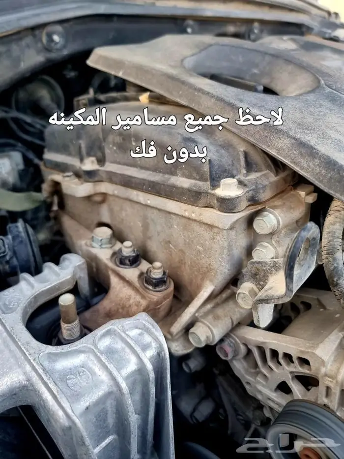 النترا 2018 فل جلد احمر اعلى فئة 48
