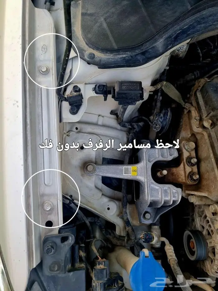 النترا 2018 فل جلد احمر اعلى فئة 52