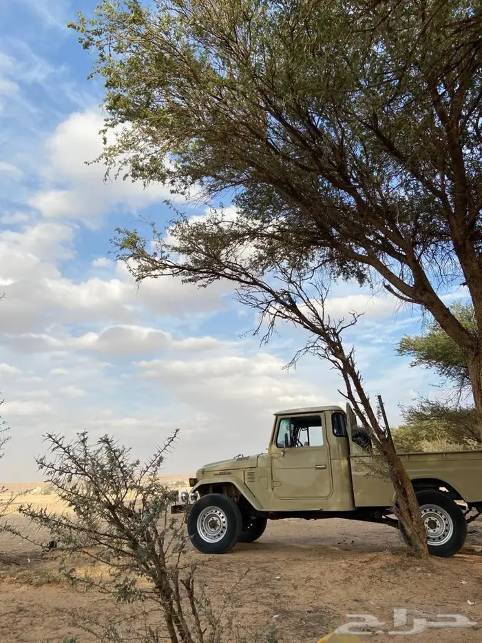 شاص 77 ثاني مالك 4