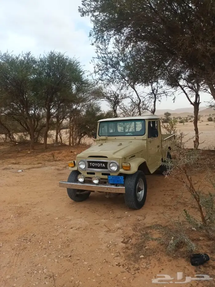 شاص 77 ثاني مالك 5