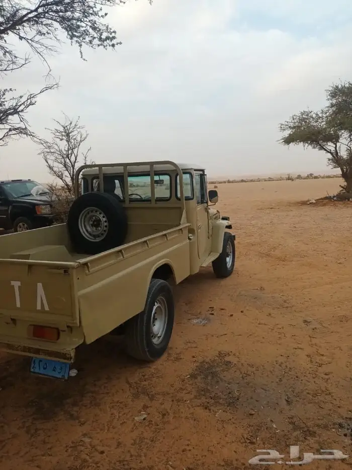 شاص 77 ثاني مالك 6