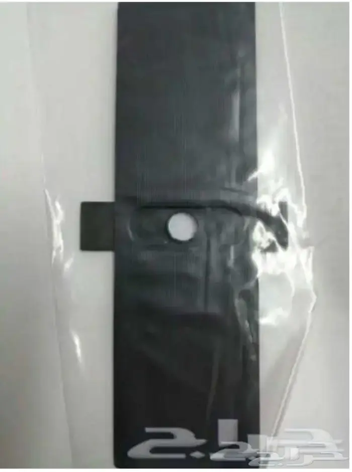 ربلة باجيرو 2