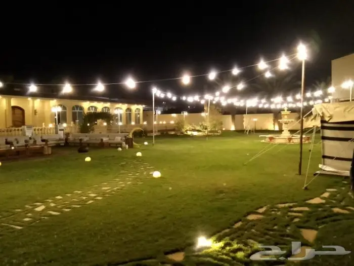 زينه عرس نشره كويتي لمبات عاديه كشافات عاديه 9
