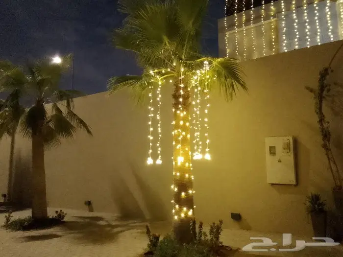 زينه عرس نشره كويتي لمبات عاديه كشافات عاديه 15
