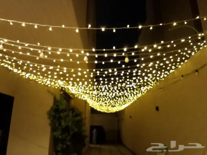 زينه عرس نشره كويتي لمبات عاديه كشافات عاديه 2