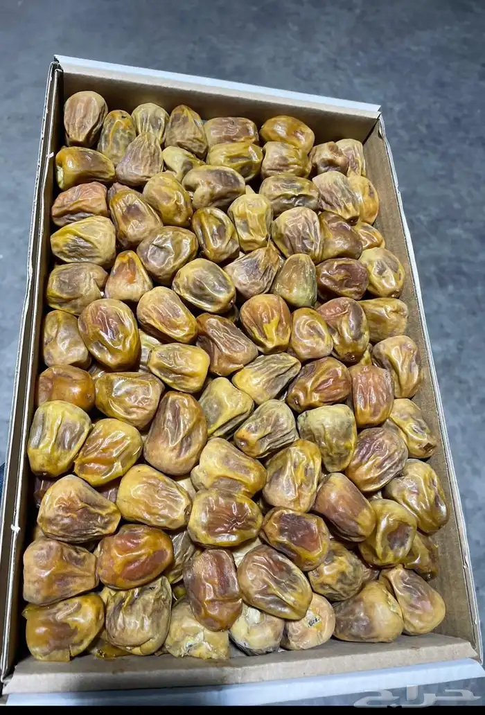 كميات جميع انواع التمور من القصيم 0