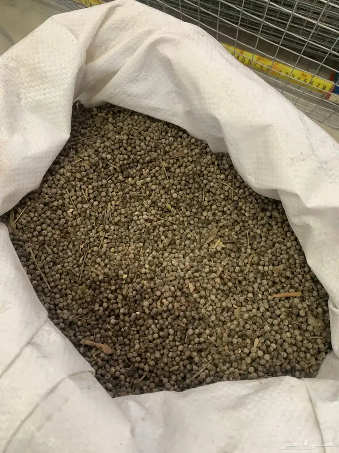 بذور كف مريم 0