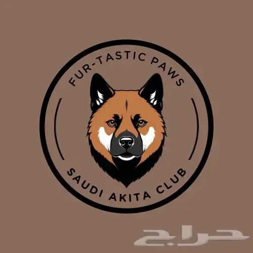 America Akita - امريكان اكيتا 2