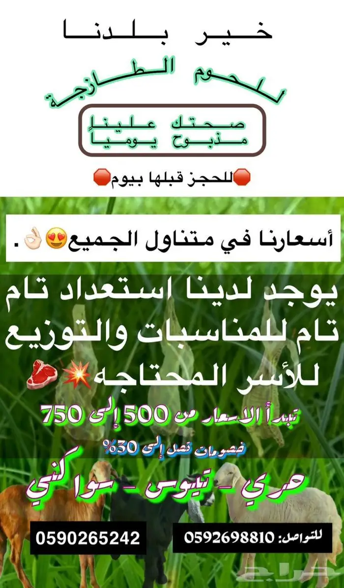 ذبايح سواكني حري تيوس خير بلدنا 0