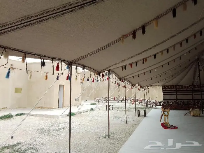 تاجير بيوت شعر خيمه اوروبيه واخيام شعبيه بيوت الشعر التراث 15