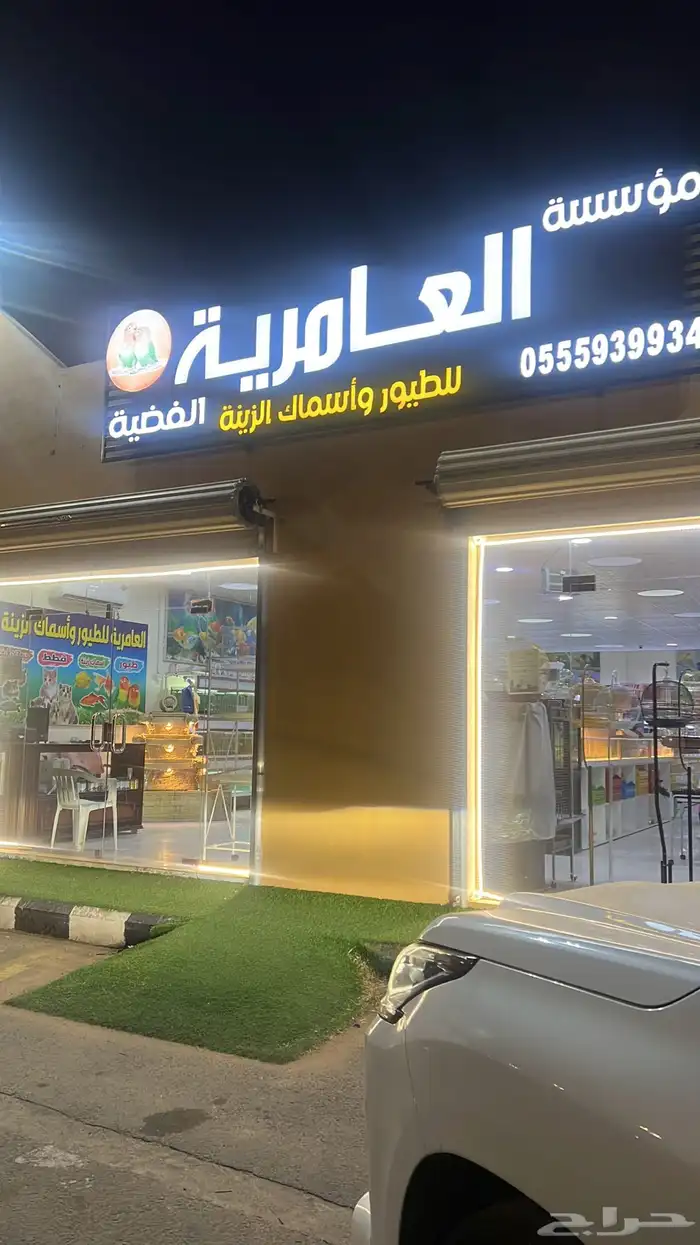 العامريه لطيور واسماك الزينه والقطط الاليفه 48