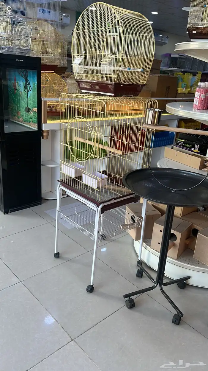 العامريه لطيور واسماك الزينه والقطط الاليفه 47