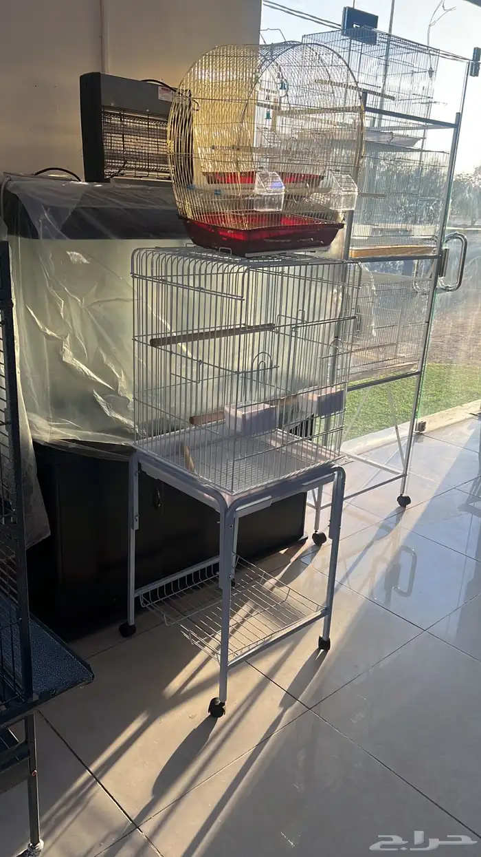 العامريه لطيور واسماك الزينه والقطط الاليفه 46