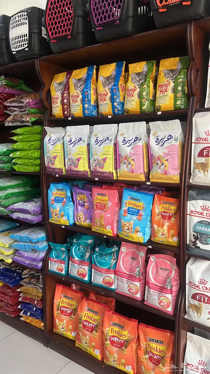 العامريه لطيور واسماك الزينه والقطط الاليفه 27