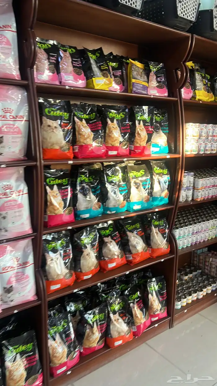 العامريه لطيور واسماك الزينه والقطط الاليفه 23