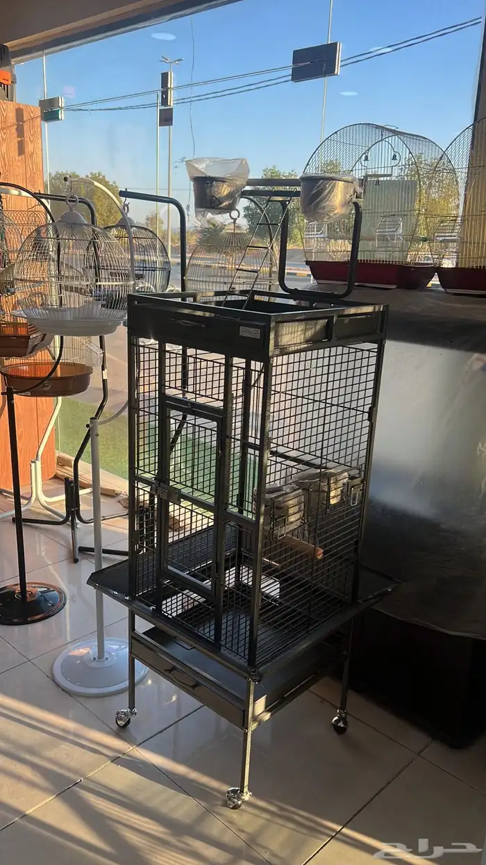 العامريه لطيور واسماك الزينه والقطط الاليفه 45