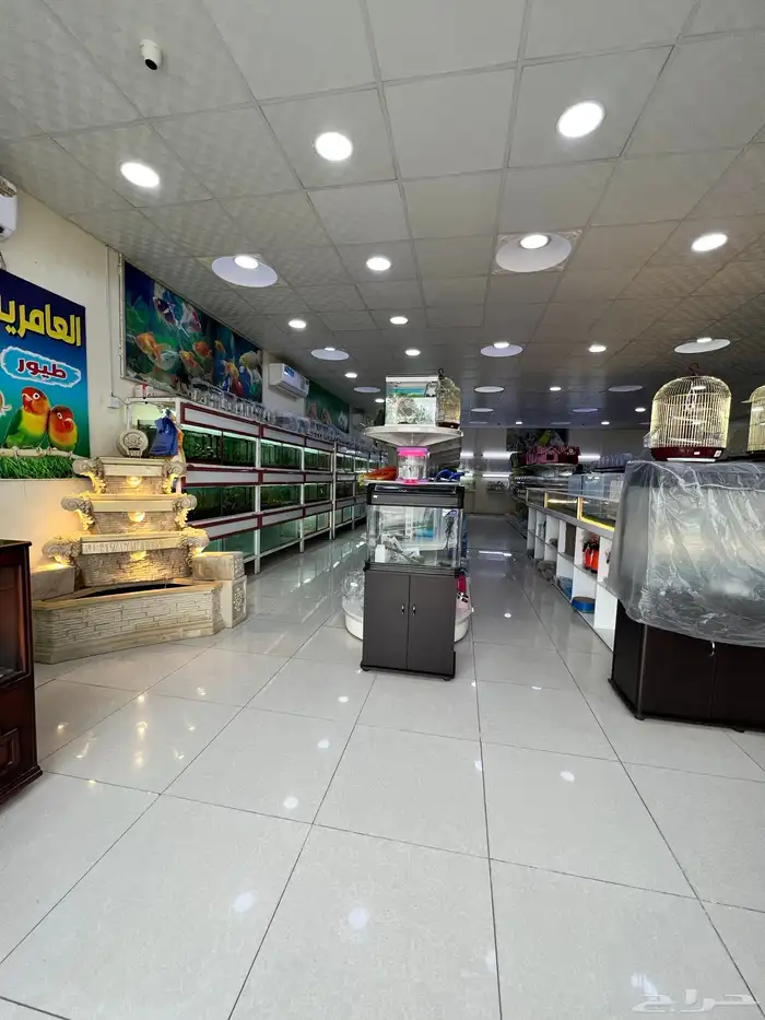 العامريه لطيور واسماك الزينه والقطط الاليفه 52