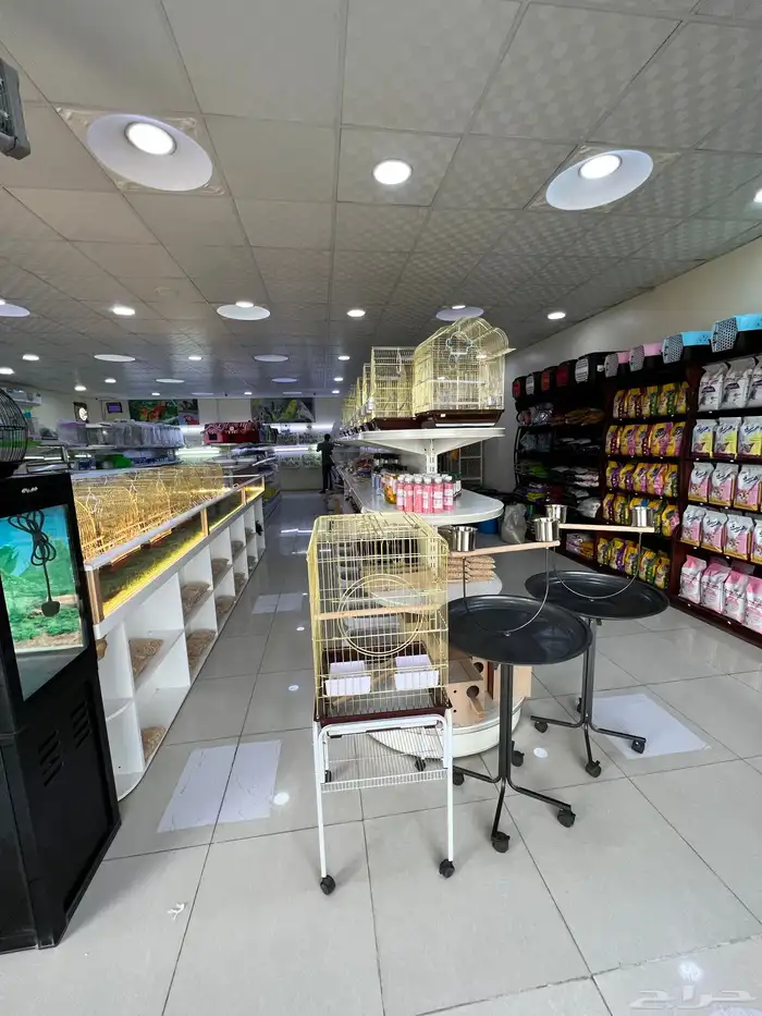 العامريه لطيور واسماك الزينه والقطط الاليفه 55