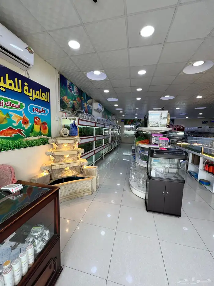 العامريه لطيور واسماك الزينه والقطط الاليفه 59