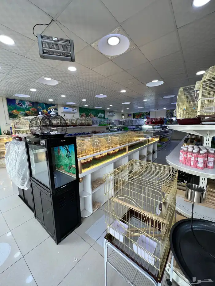 العامريه لطيور واسماك الزينه والقطط الاليفه 54