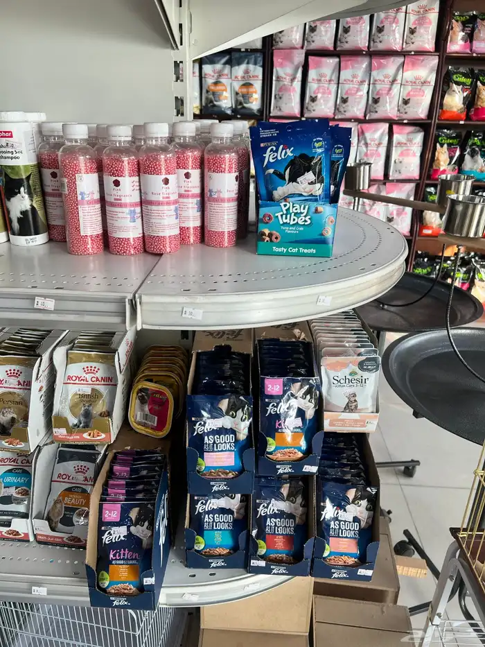 العامريه لطيور واسماك الزينه والقطط الاليفه 31