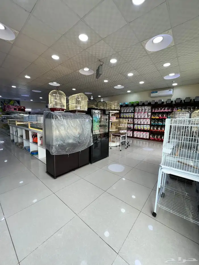 العامريه لطيور واسماك الزينه والقطط الاليفه 53