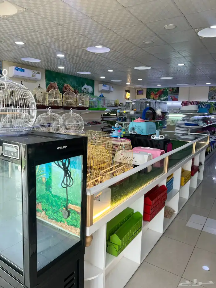 العامريه لطيور واسماك الزينه والقطط الاليفه 35