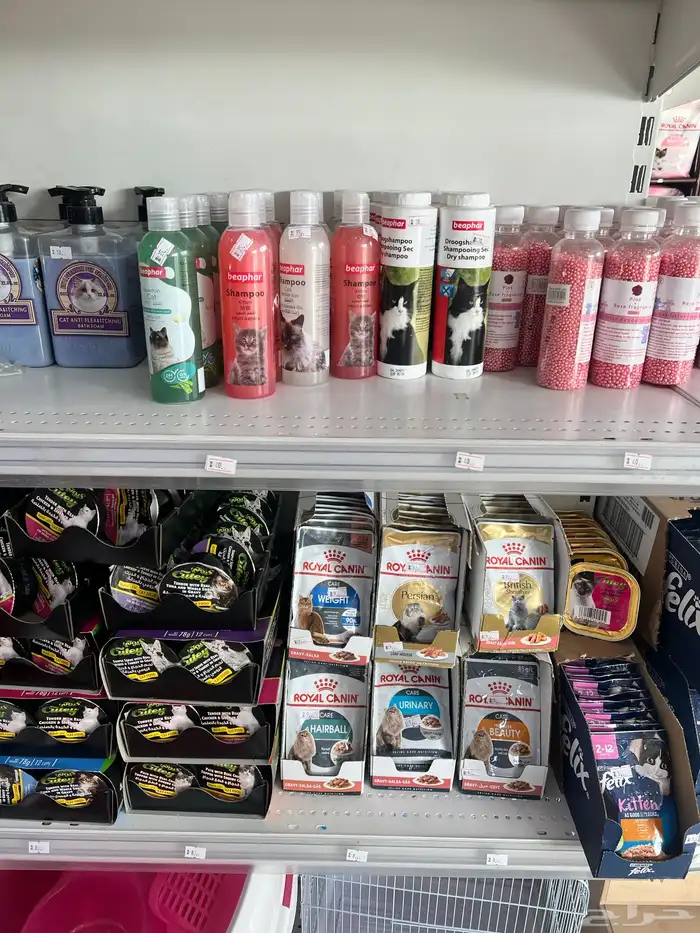 العامريه لطيور واسماك الزينه والقطط الاليفه 32