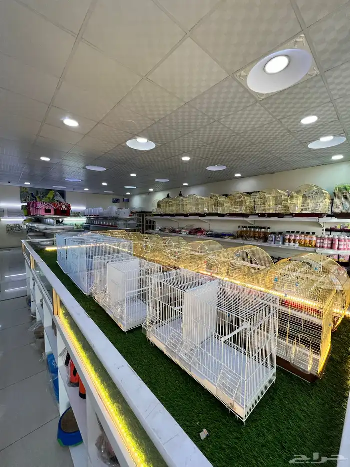 العامريه لطيور واسماك الزينه والقطط الاليفه 50