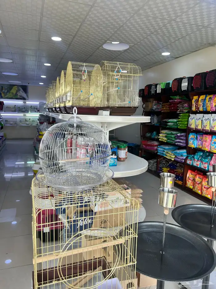 العامريه لطيور واسماك الزينه والقطط الاليفه 34